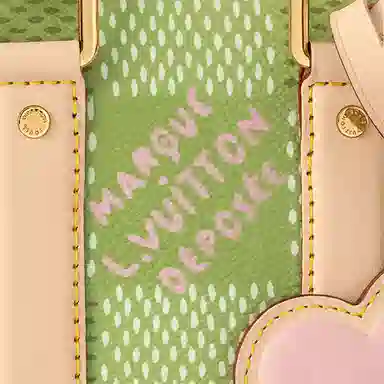 Louis Vuitton LV x Tyler