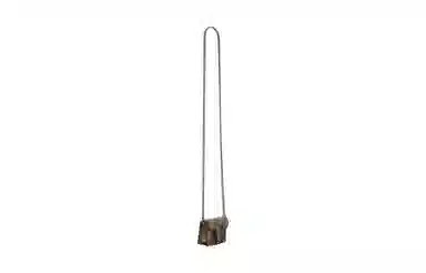 GUCCI Dionysus AirPods