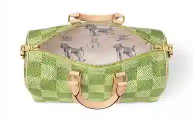 Louis Vuitton LV x Tyler