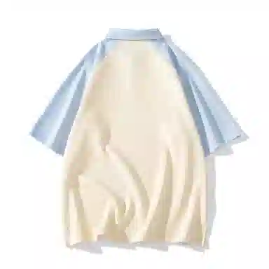 H2P LogoPolo