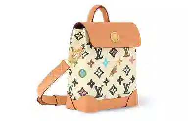 Louis Vuitton LV x Tyler