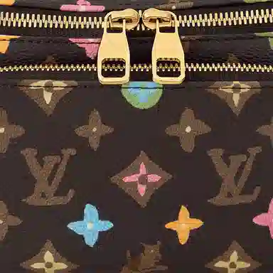 LOUIS VUITTON x Tyler