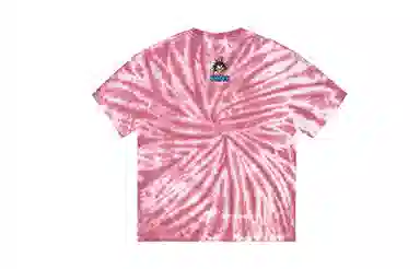 Vision Street Wear T