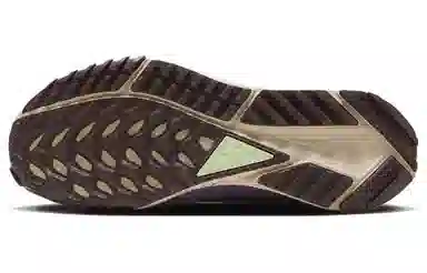 Nike Pegasus Trail 4 Brown