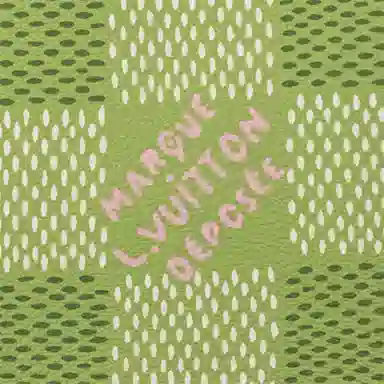 Louis Vuitton LV x Tyler