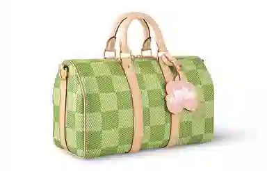 Louis Vuitton LV x Tyler