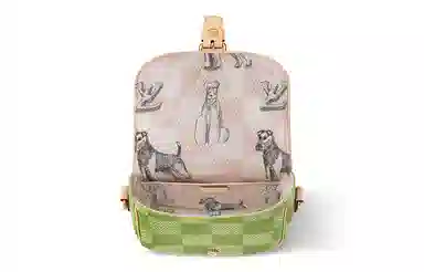 Louis Vuitton x Tyler