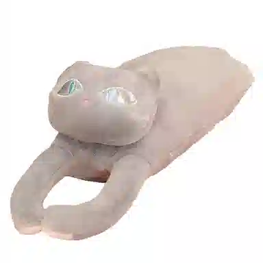 OLOEY