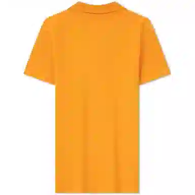 Tommy Hilfiger Polo