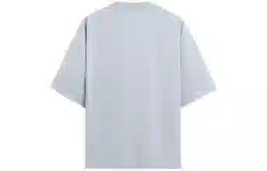 ZARA T