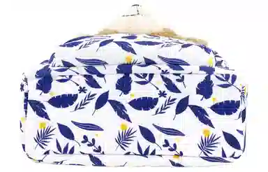 Disney 100th Anniversary Duffy Backpack