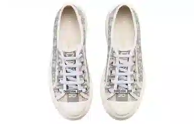 DIOR Walk'n'Dior Oblique
