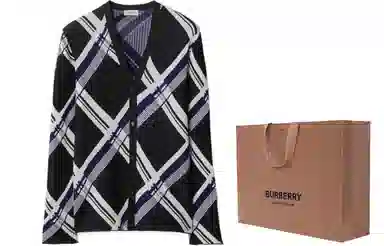 Burberry SS24 V