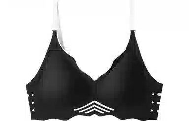 二三二三 小胸聚拢上托显大防下垂无钢圈文胸 女款