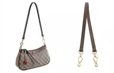 Gucci ophidia
