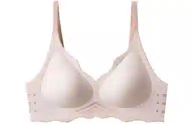 二三二三 小胸聚拢上托显大防下垂无钢圈文胸 女款