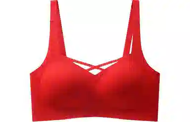 二三二三 纯色镂空舒适无痕收副乳防下垂防外扩无钢圈文胸 女款