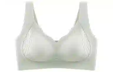 二三二三 聚拢性感收副乳防下垂无钢圈文胸 女款