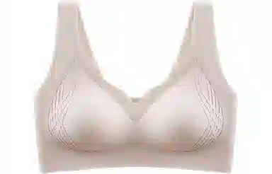 二三二三 聚拢性感收副乳防下垂无钢圈文胸 女款