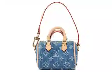 Louis Vuitton Speedy Denim Bucket Bag