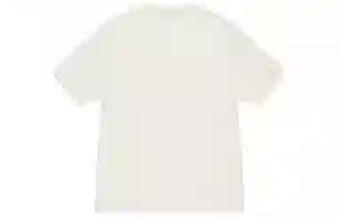 Stussy SS23 Champion Pigment Dyed Tee LogoT