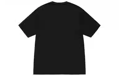 Stussy SS23 Champion Pigment Dyed Tee LogoT