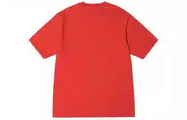 Stussy SS23 Champion Pigment Dyed Tee LogoT