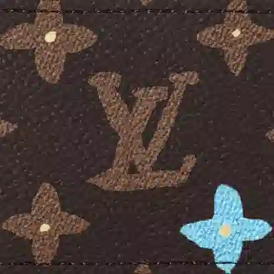 LOUIS VUITTON LV x Tyler