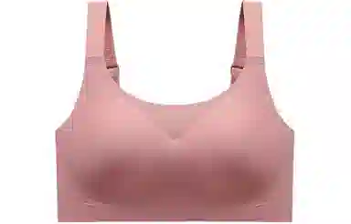 二三二三 纯色网纱小胸聚拢收副乳防下垂文胸 女款