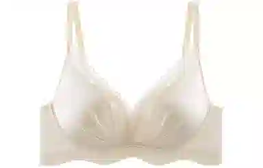 二三二三 聚拢小胸显大防下垂收副乳无钢圈调整型无痕文胸 女款