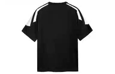 ICONS Lab T