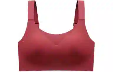 二三二三 纯色网纱小胸聚拢收副乳防下垂文胸 女款