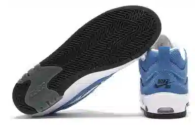 Nike SB Ishod 2 Black Gum