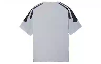 ICONS Lab T