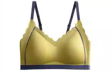 二三二三 无钢圈背心式聚拢收副乳防下垂文胸 女款