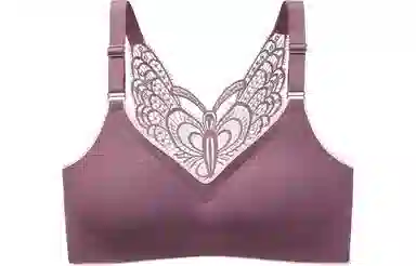 二三二三 无钢圈聚拢收副乳防下垂文胸 女款