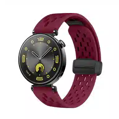 GT4gt3watch43proGT2pro4progs