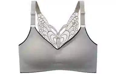 二三二三 无钢圈聚拢收副乳防下垂文胸 女款