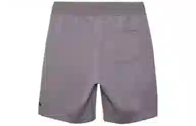 New Era SS24 Skateboard Shorts Gray