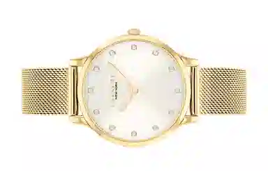 COACHCHELSEA 32mm 32mm