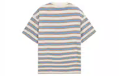 ICONS Lab T