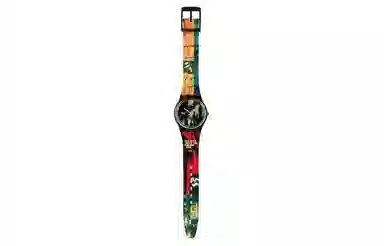 SWATCH 30 34mm GB210