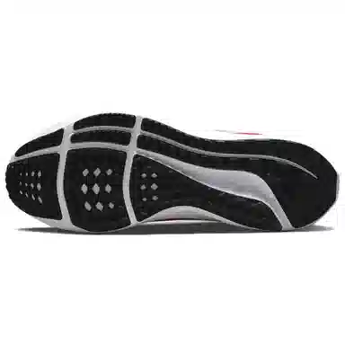 Nike Air Zoom Pegasus 39