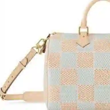 LOUIS VUITTON Speedy 40