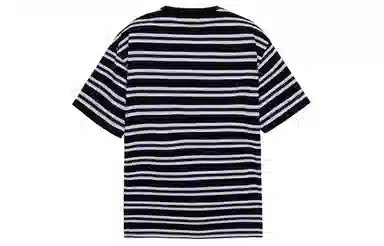 ICONS Lab T