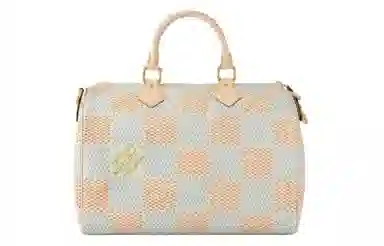 LOUIS VUITTON Speedy 40