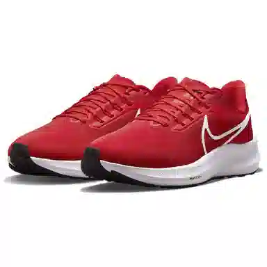 Nike Air Zoom Pegasus 39