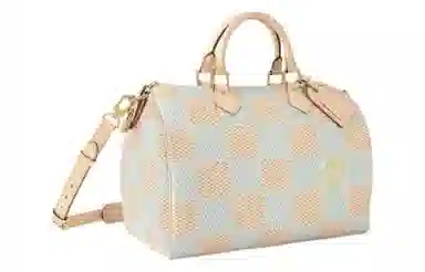 LOUIS VUITTON Speedy 40