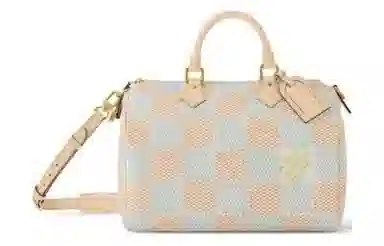 LOUIS VUITTON Speedy 40