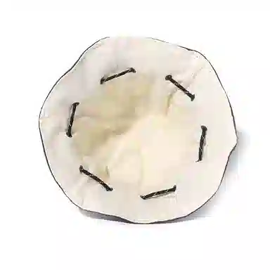 Clect